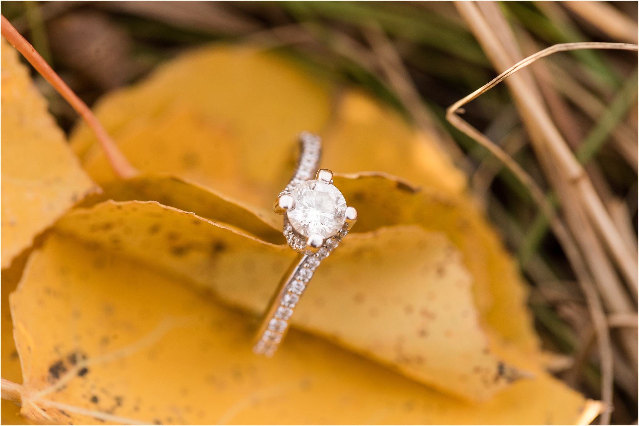 Fall Engagement Ring Shot